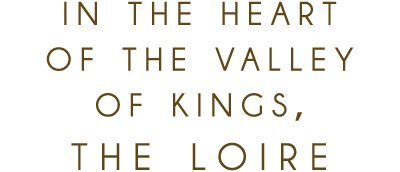 In the heart of the valley of kings, the Loire